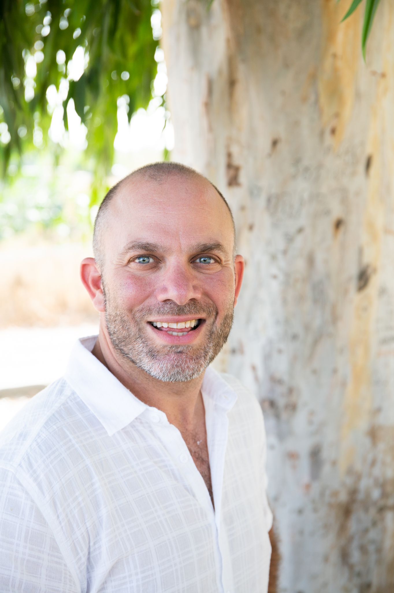 Online Virtual Counselors