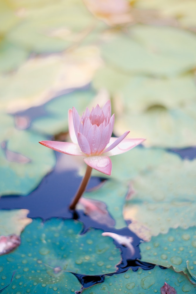 Spiritual therapy for the non-religious