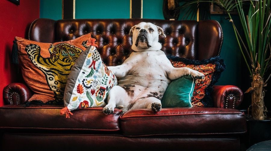 Starting Therapy? 5 Helpful Things To Know When You’re Brand New To (Or Considering) Therapy