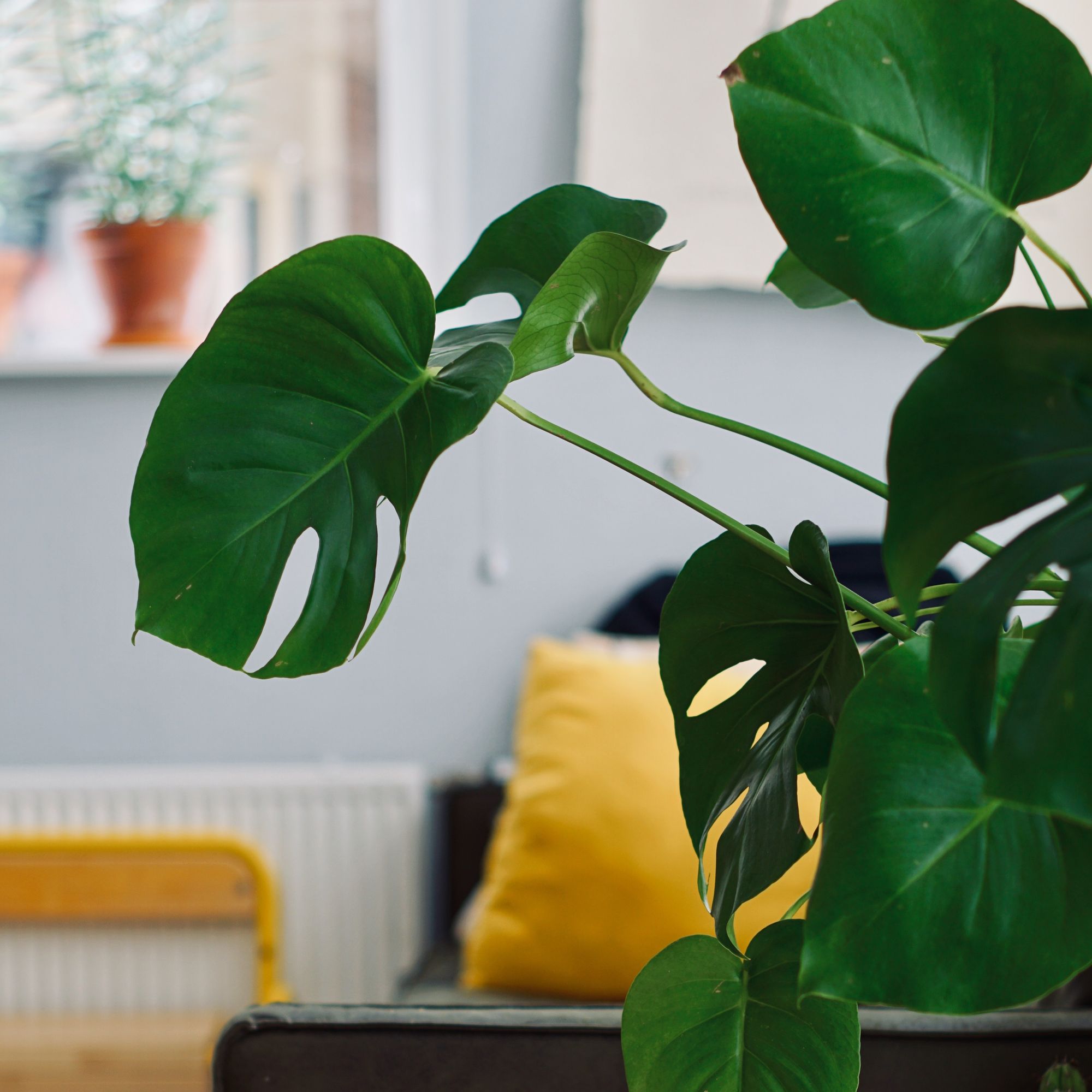 What to Expect at Your First Therapy Session