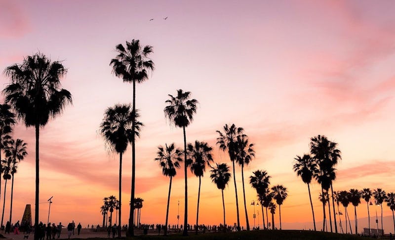 How to Find a Therapist in Los Angeles: The Ultimate Guide