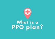 What Is A PPO Plan Health Insurance Explained Zencare Blog