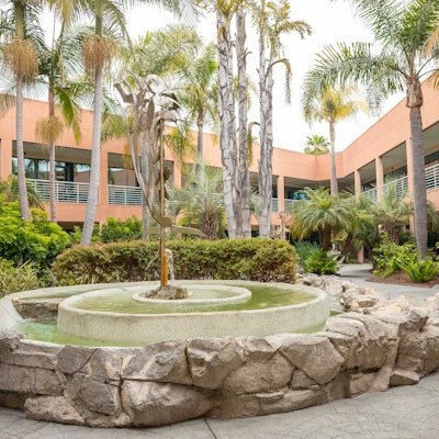 Grayson Wallen Grayson Wallen