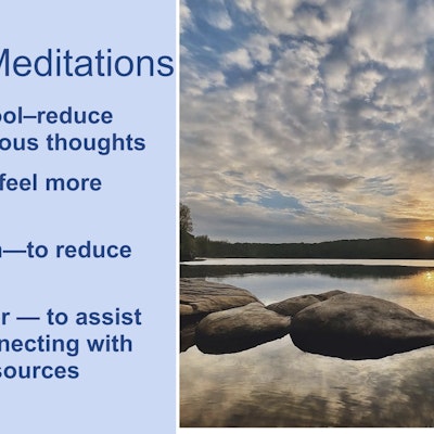 Fully Integrated Psychotherapy and Consultation Fully Integrated Psychotherapy and Consultation