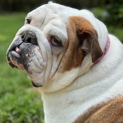 Marie Johnson Marie Johnson