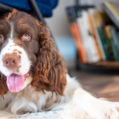 Joellen Walter Joellen Walter