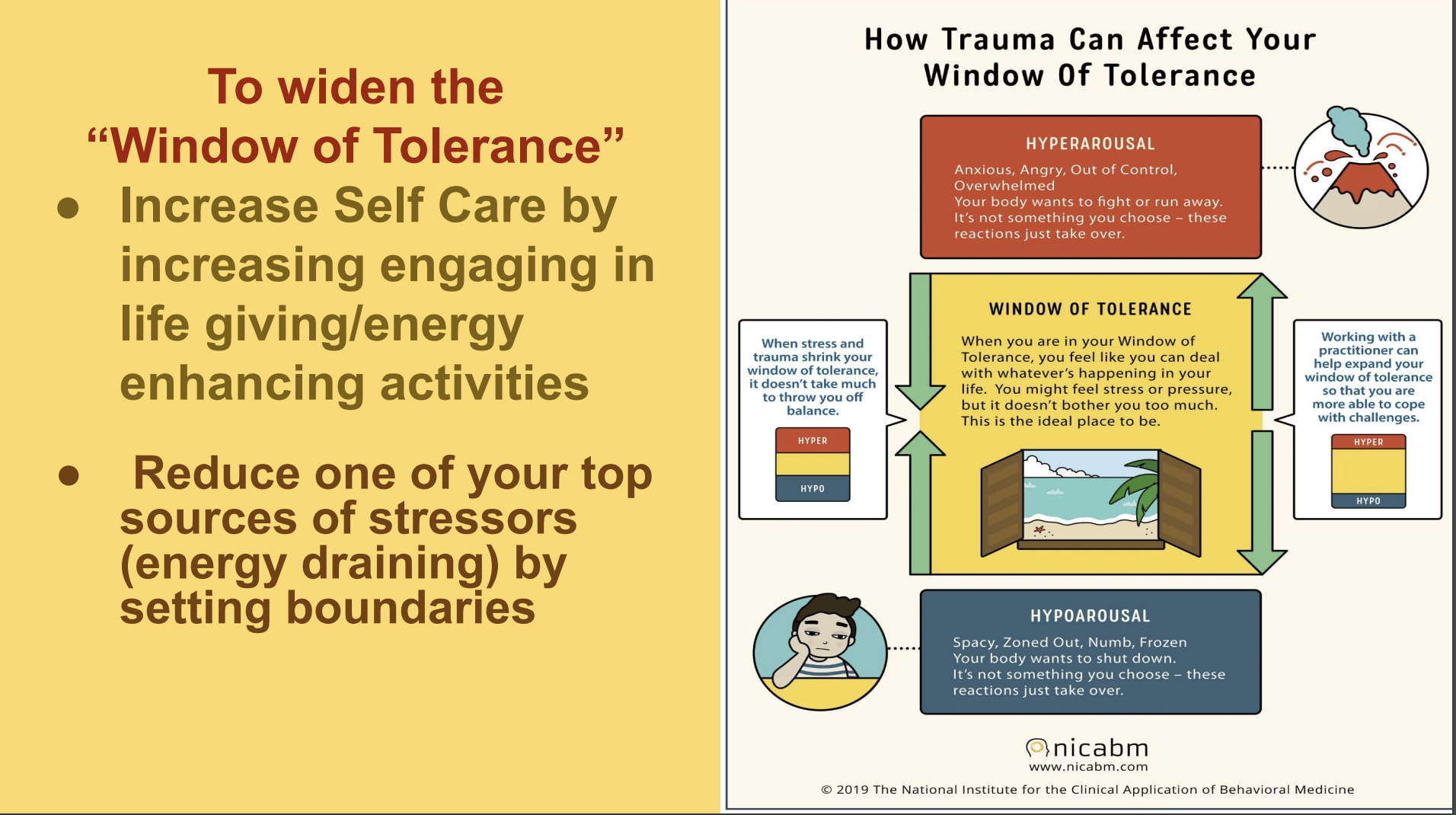 Fully Integrated Psychotherapy and Consultation