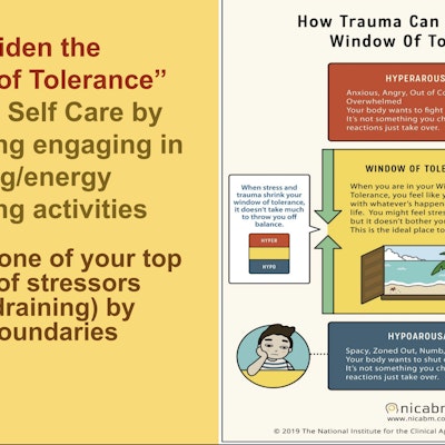 Fully Integrated Psychotherapy and Consultation Fully Integrated Psychotherapy and Consultation