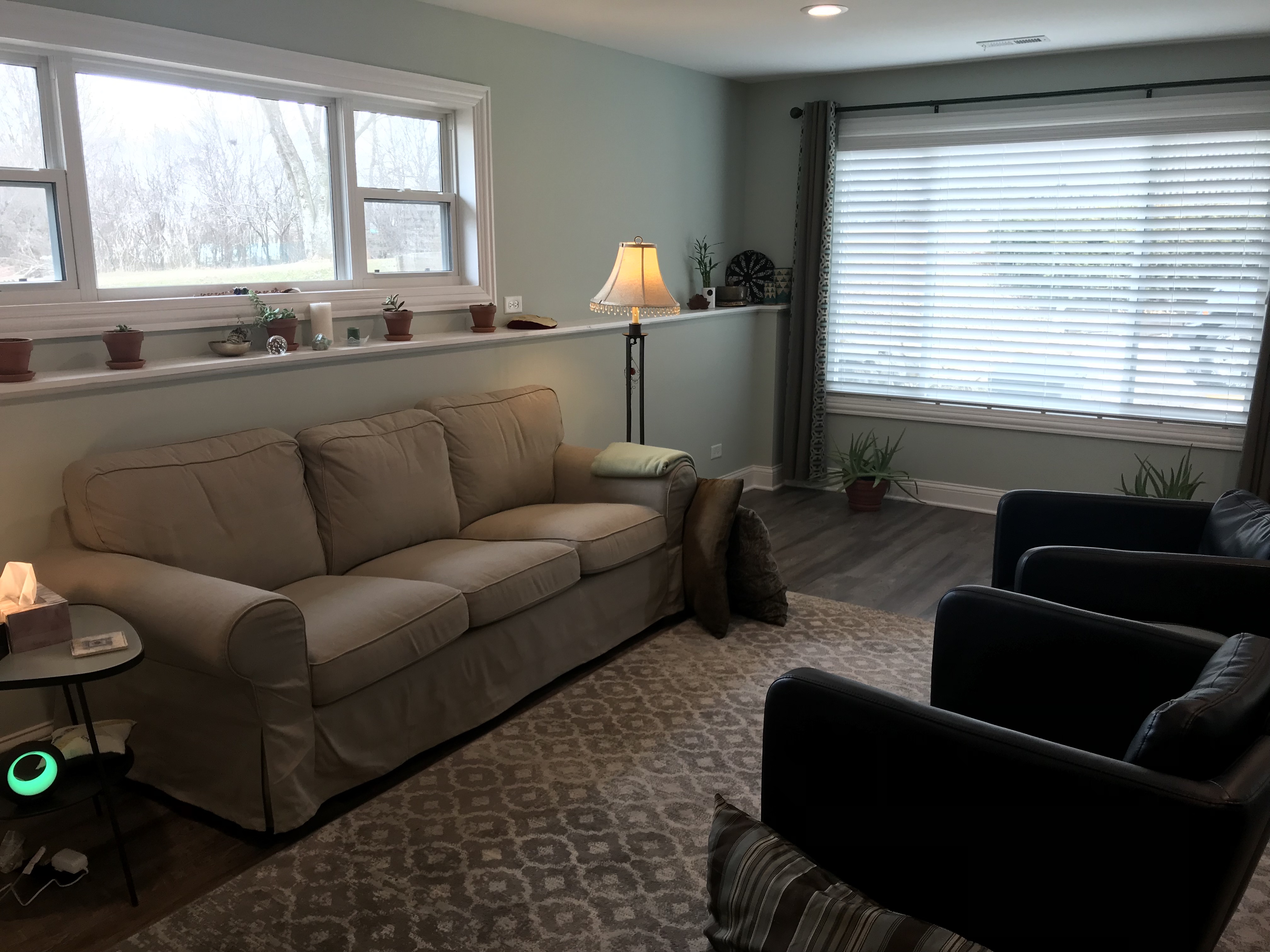 Mind Body Connections