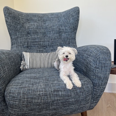 A Road Through Therapy Group A Road Through Therapy Group