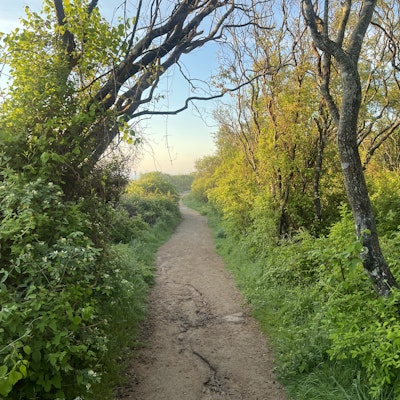 Jason Etting Jason Etting