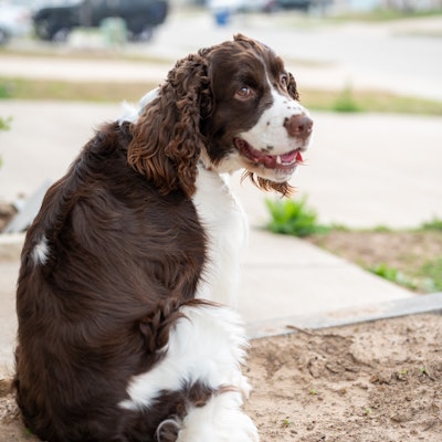 Joellen Walter Joellen Walter