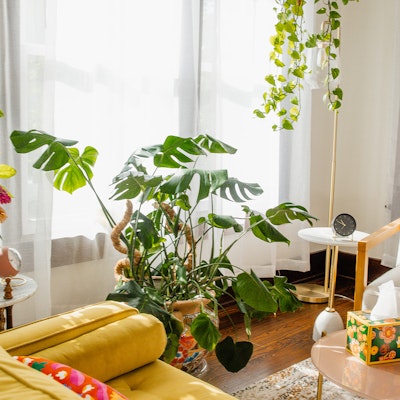 Natalie Burke Natalie Burke