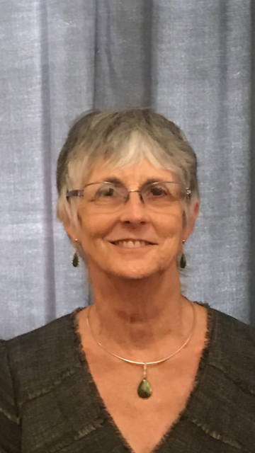 Ann E Goldman's profile picture