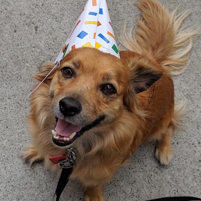 Jesse Bright Jesse Bright