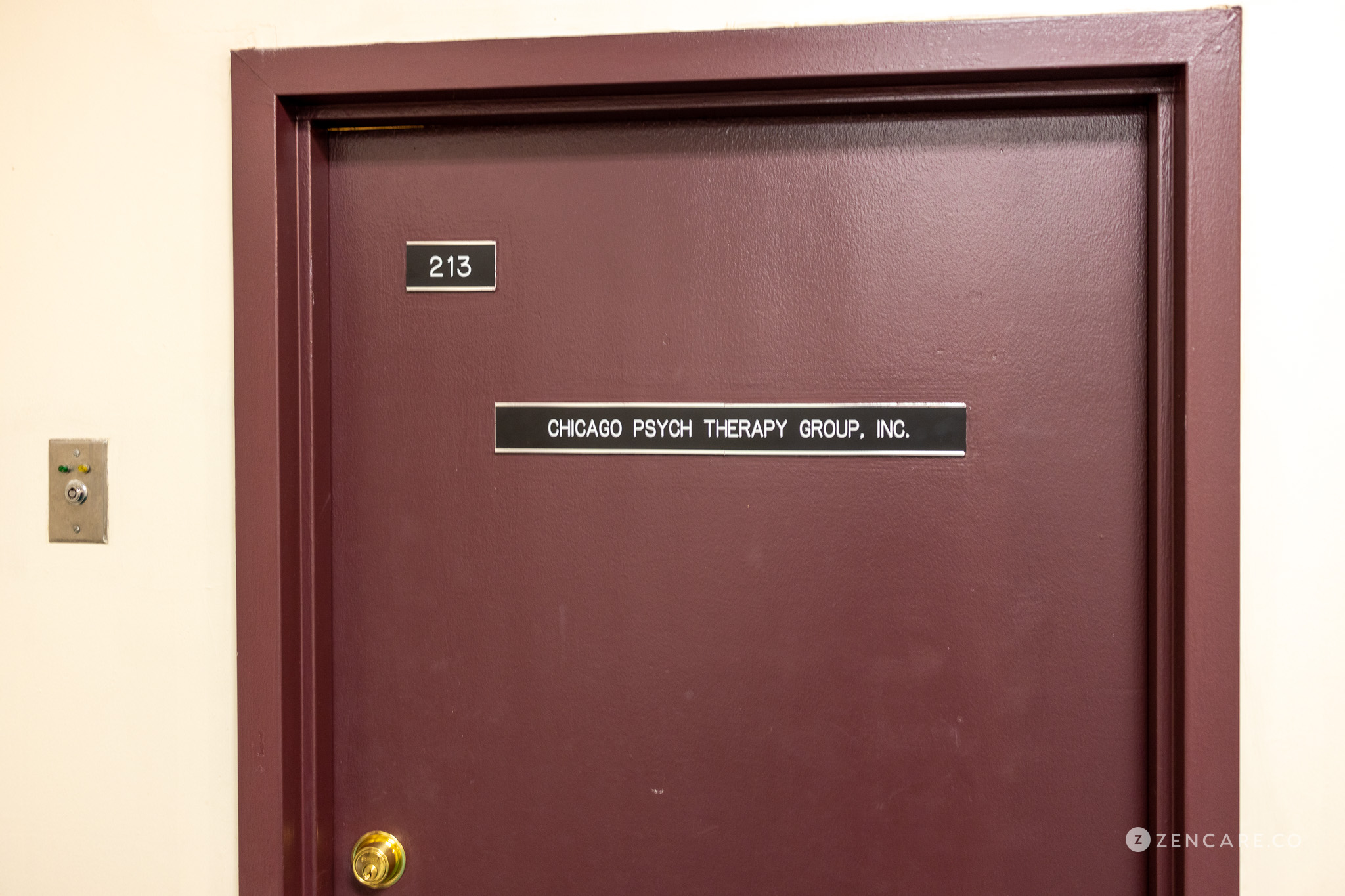 Chicago Psych Therapy Group Inc