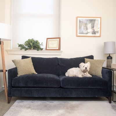 Michael Scheman Michael Scheman