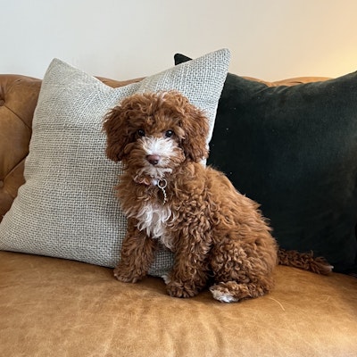 Emma Nowicki Emma Nowicki