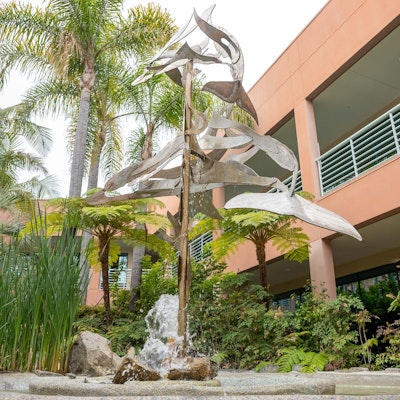 Grayson Wallen Grayson Wallen