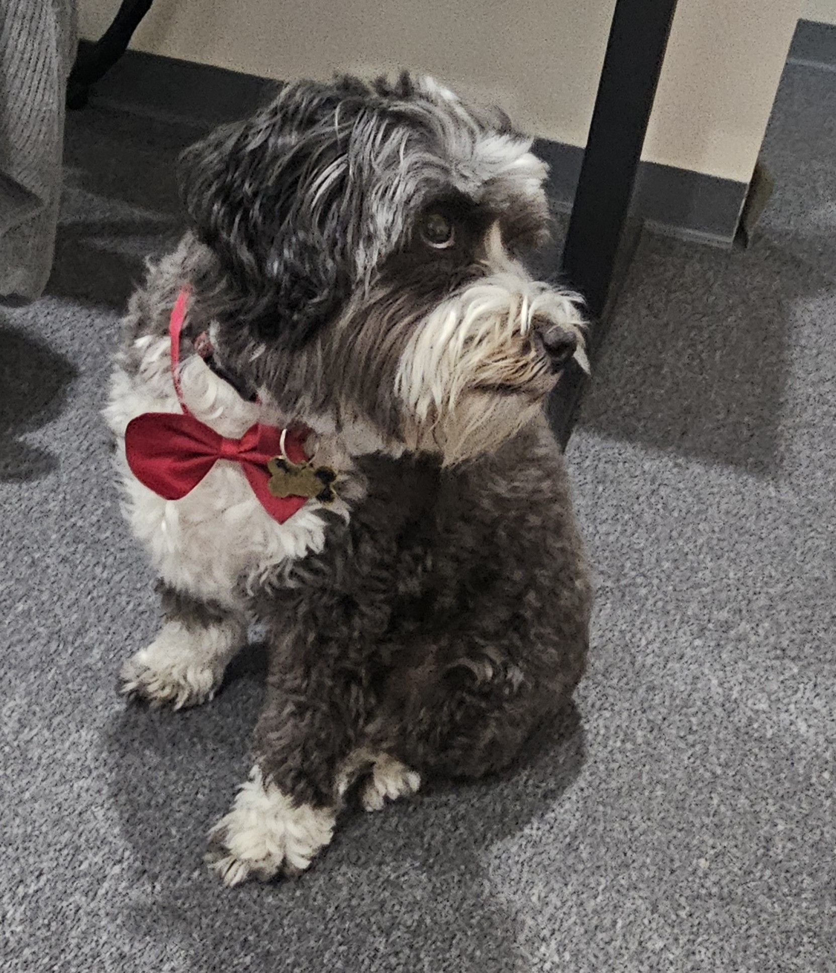 Grace Christian Counseling