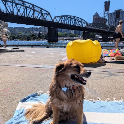 Jesse Bright Jesse Bright