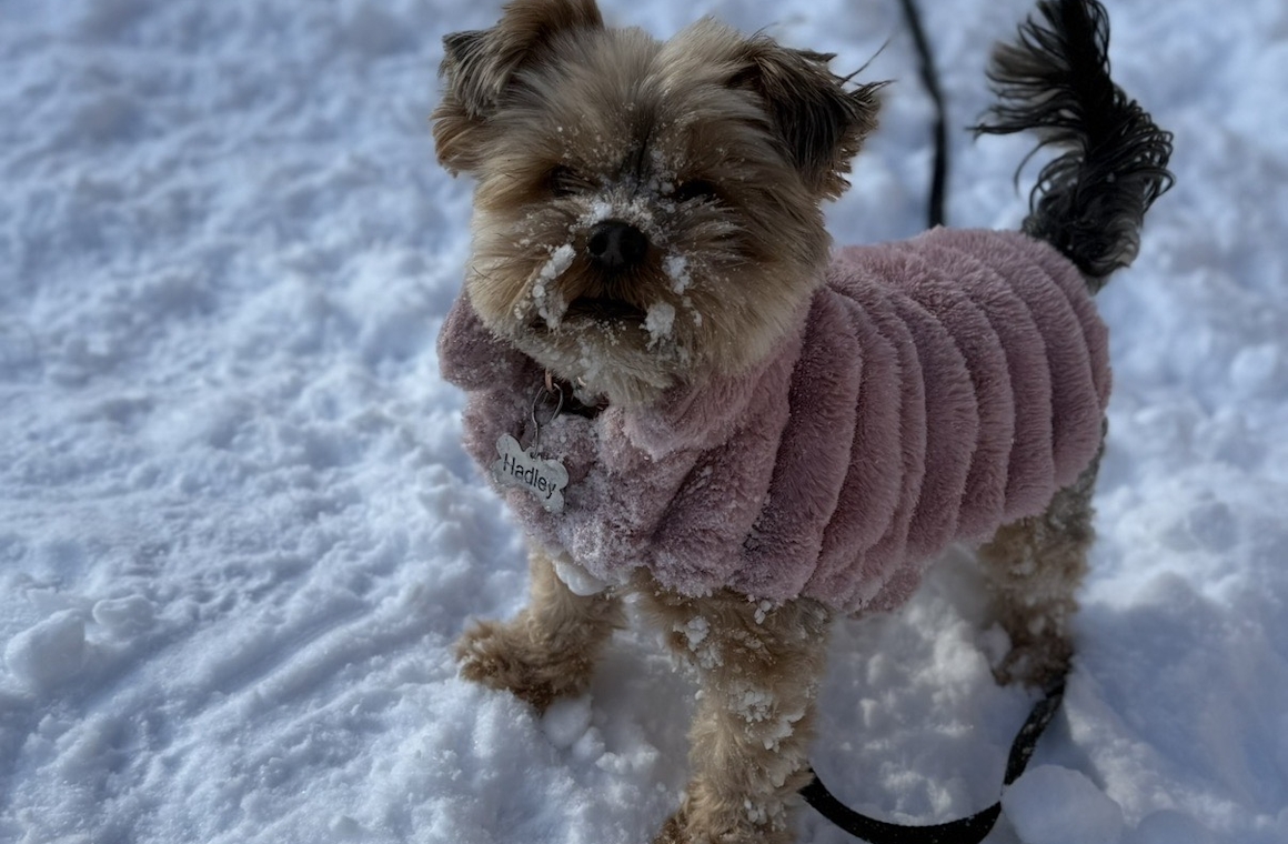 Ashley Holmes Ashley Holmes