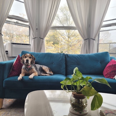 Nikole Barnes Nikole Barnes