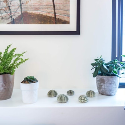 Jamie Bloom Jamie Bloom