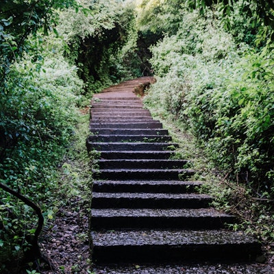 Candice Tummillo Candice Tummillo