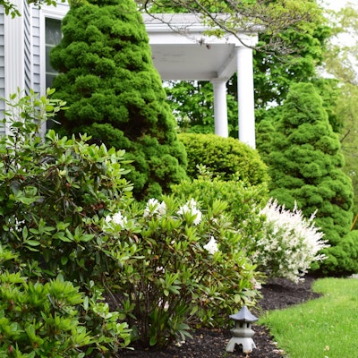 The Holistic Heart The Holistic Heart