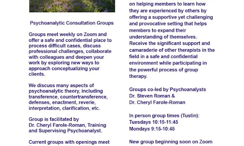 Therapy Group for Therapists, Zoom