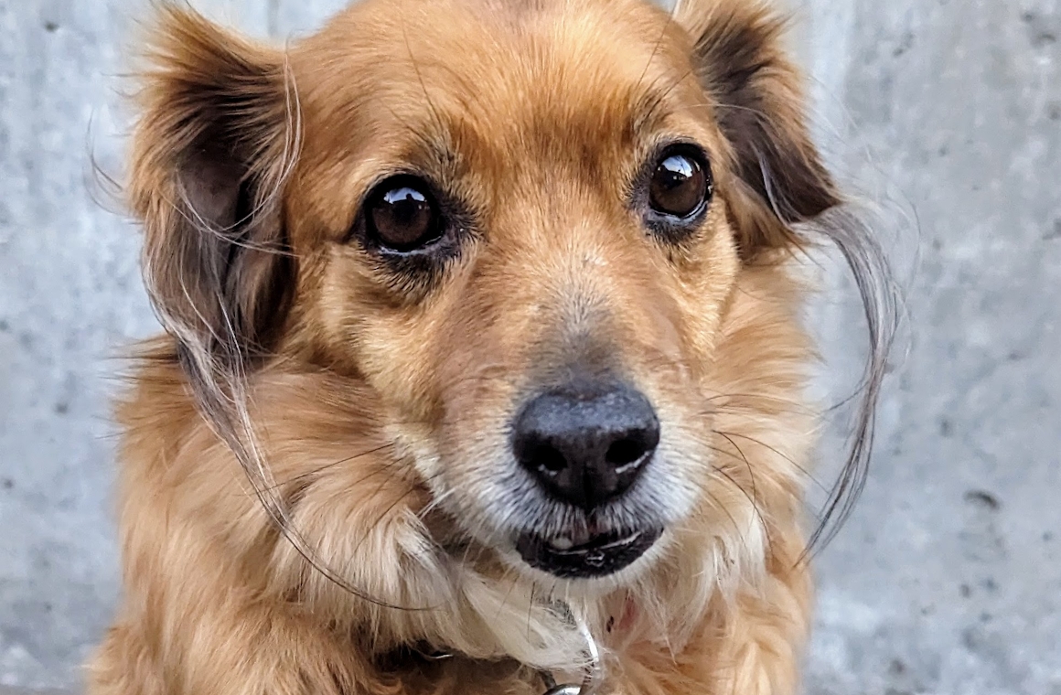 Jesse Bright Jesse Bright