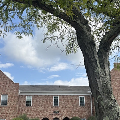 Nick Reilly Nick Reilly