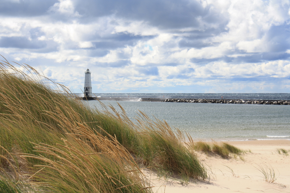 Partners in Change: Psychological and Community Services, PLC's profile picture