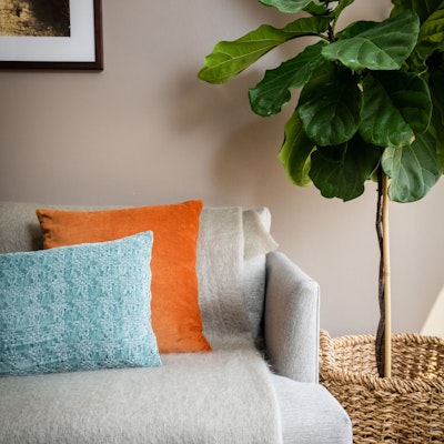 Lena Trieger Lena Trieger