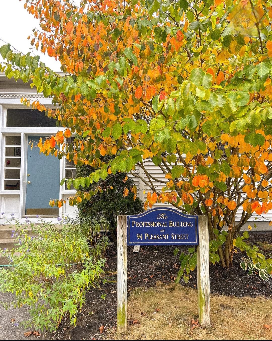 Brighter Life Therapy's profile picture