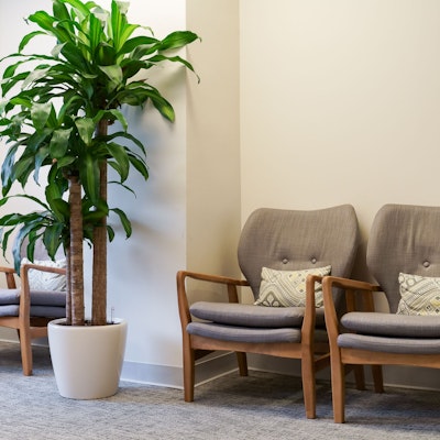 Allana Stark Allana Stark