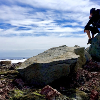 Ricci Oppenlander Ricci Oppenlander