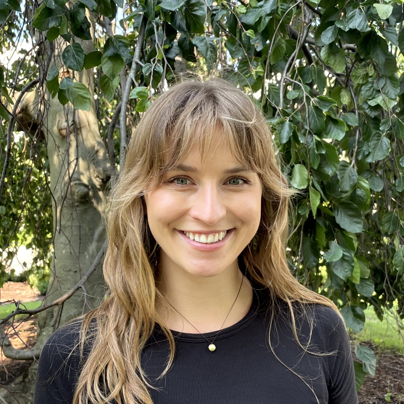 Phoenix Rising Centers