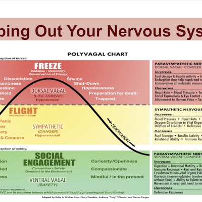 Fully Integrated Psychotherapy and Consultation Fully Integrated Psychotherapy and Consultation