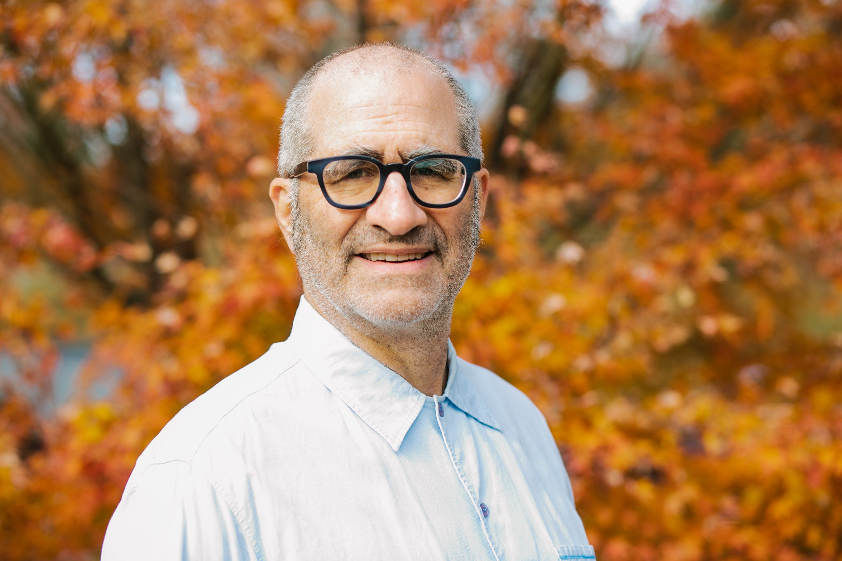 David Stern's profile picture