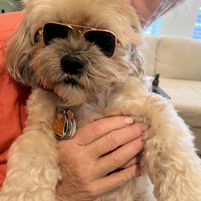 Elizabeth Wolf Elizabeth Wolf