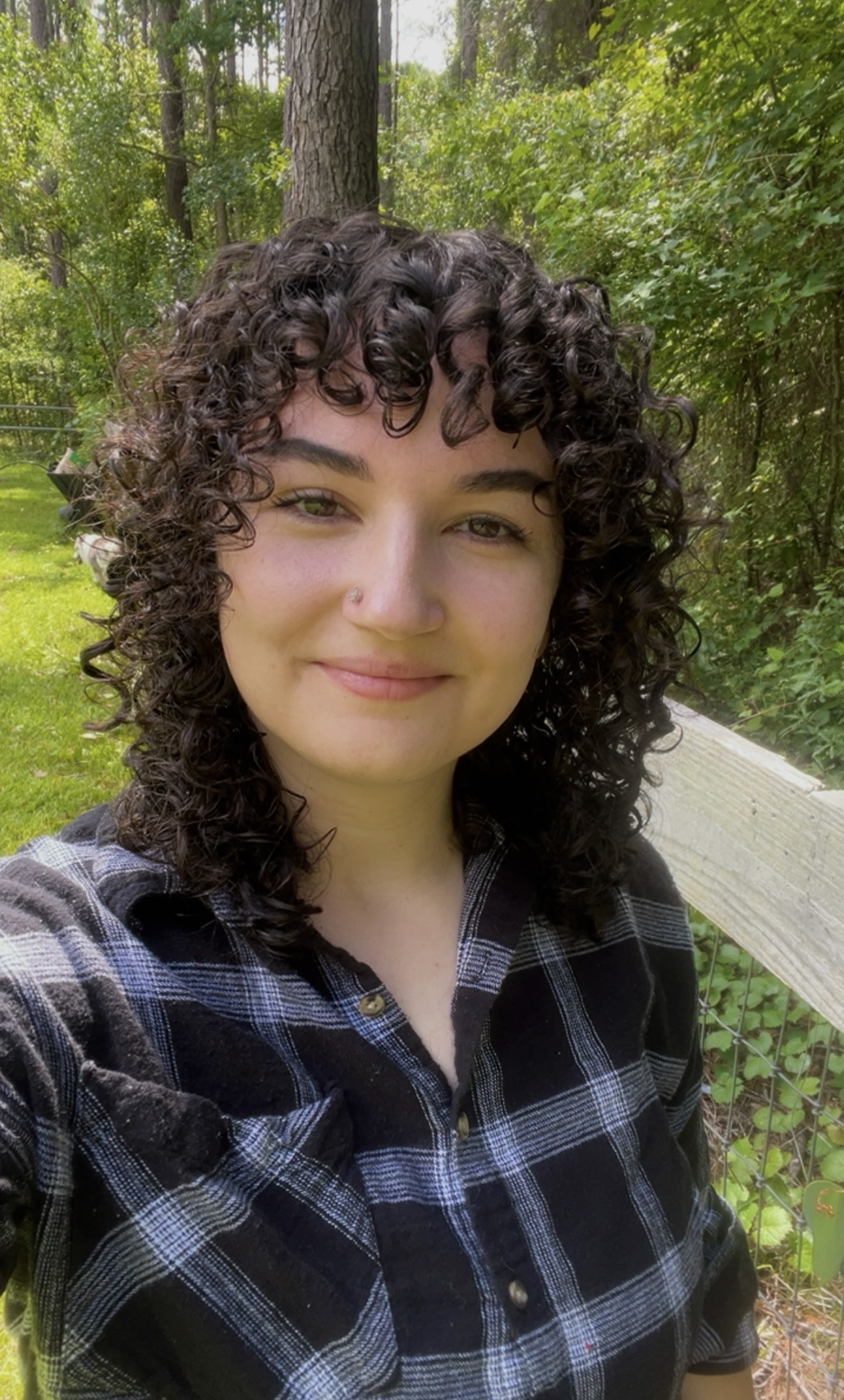 Elena Scricca's profile picture