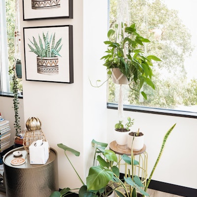 Amanda Stretcher Amanda Stretcher