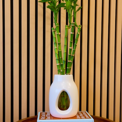 Amber Robinson Amber Robinson