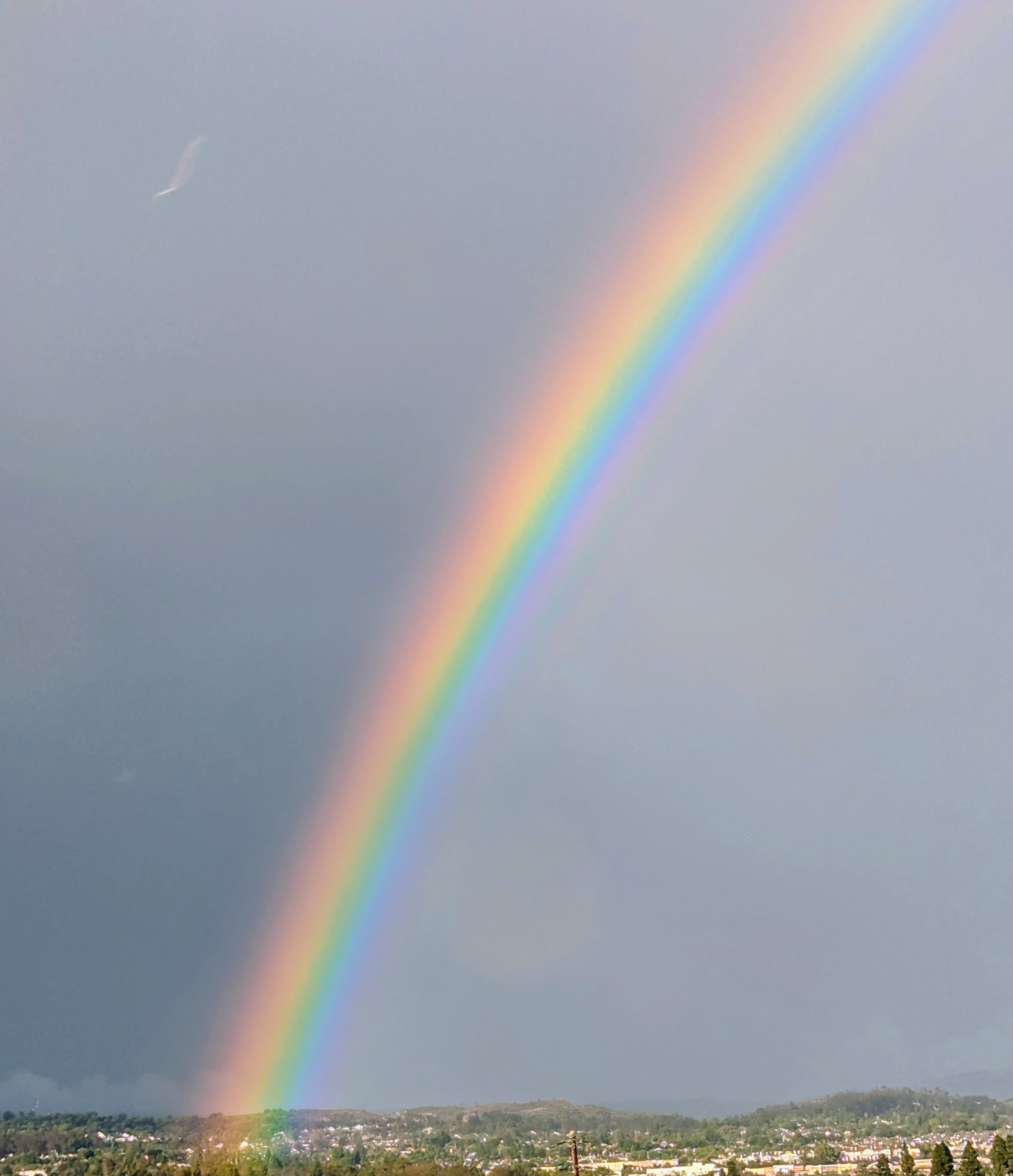 Image of Shiva Sarabi