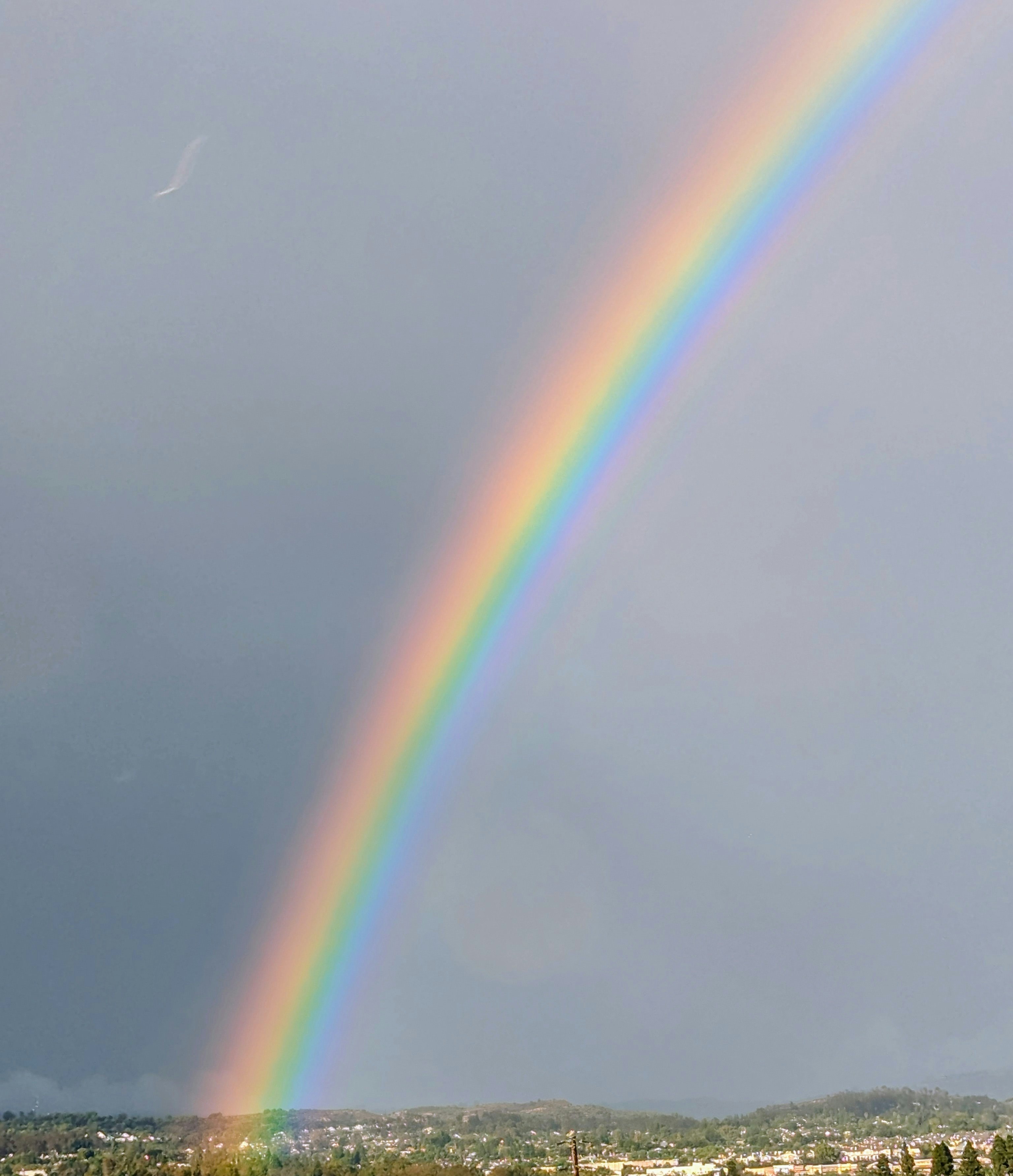 Chronic Pain Support Group