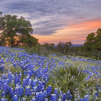 Kelley Kramer Kelley Kramer