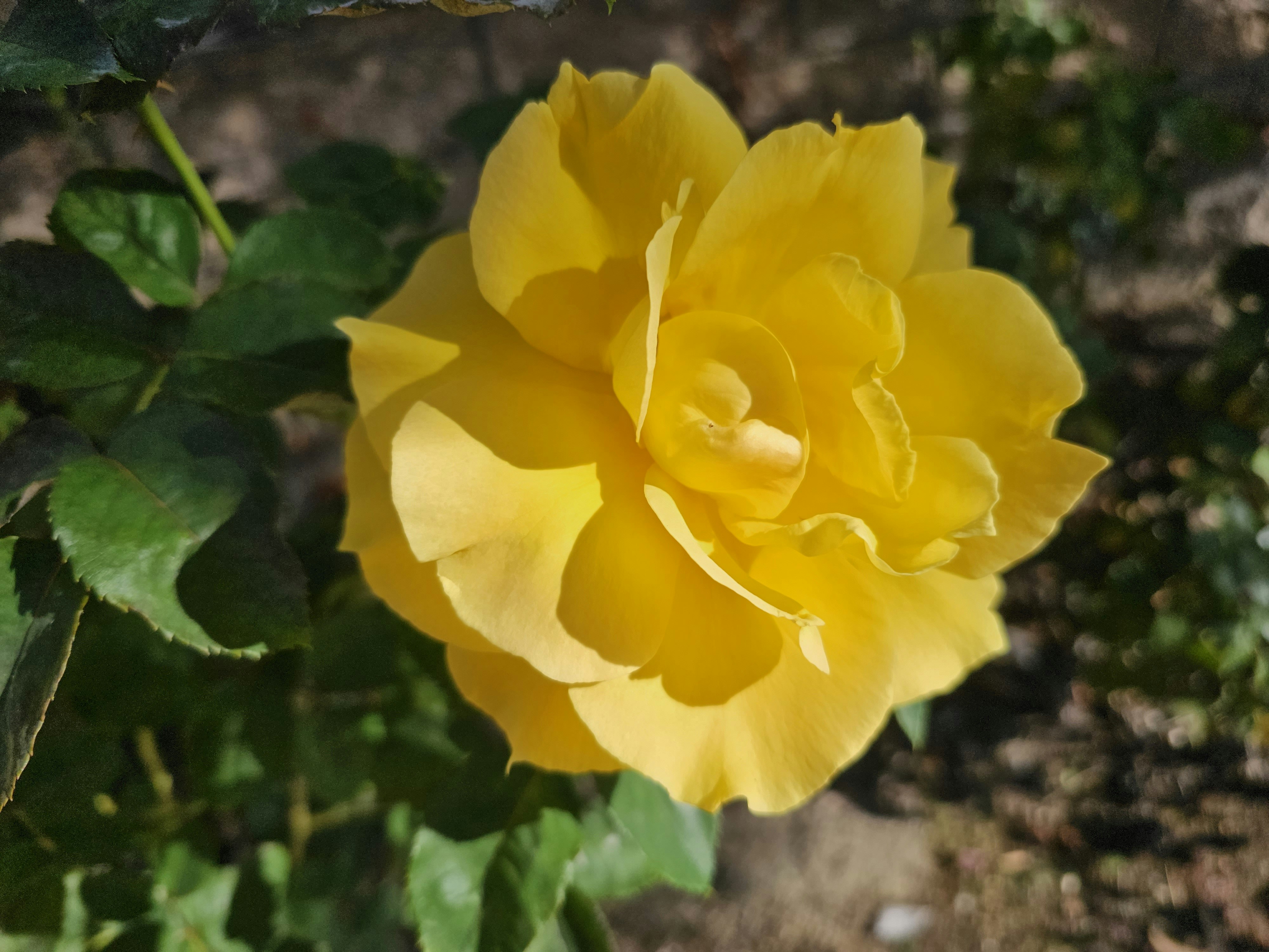 20s/30s Women's Therapy Group (Mixed Race & Sexual Orientation)