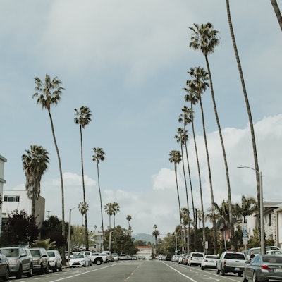 Stephanie Sorady Stephanie Sorady